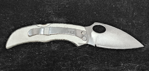 Kudu 157