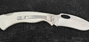 Kudu 161